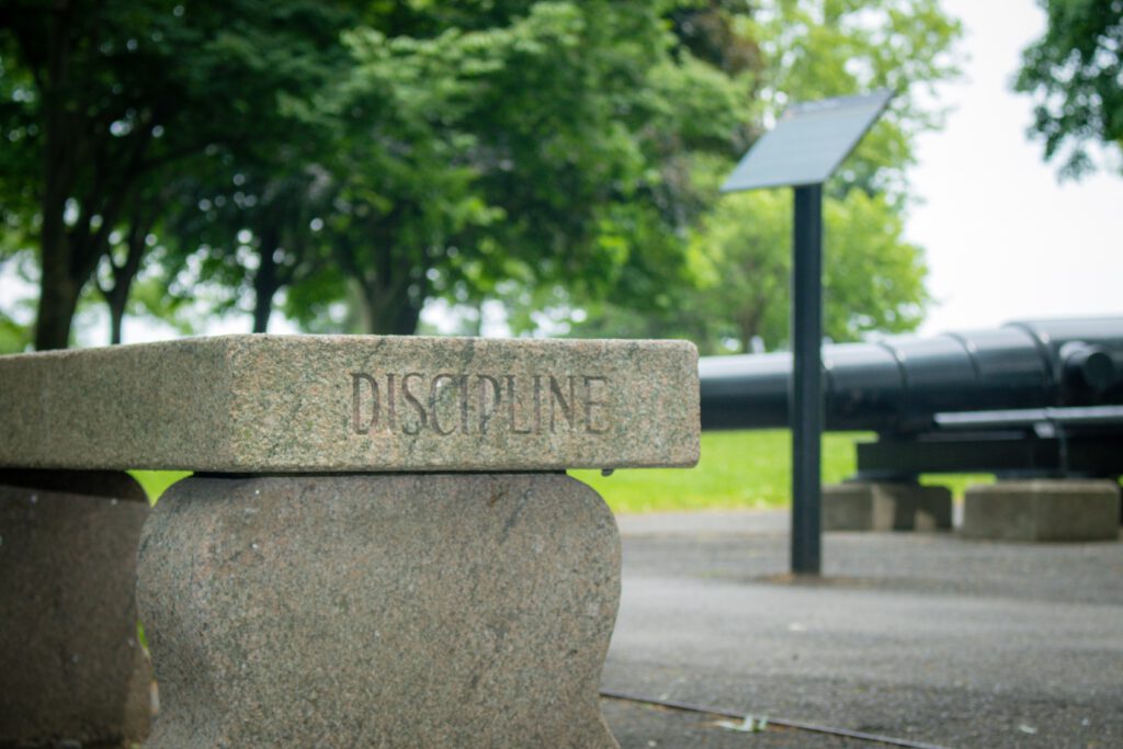 Discipline is the secret to success - Frivilo