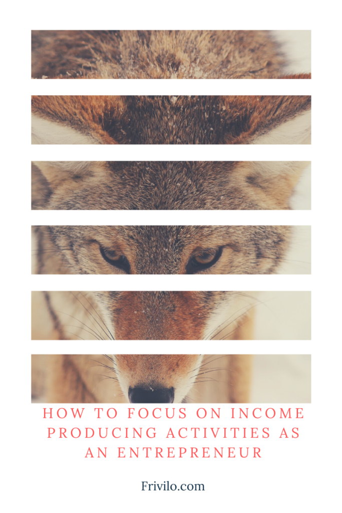 How To Focus On Income Producing Activities as an Entrepreneur - Frivilo
